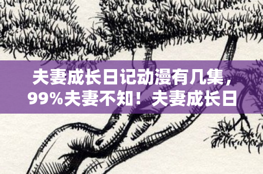 夫妻成长日记暗藏3大逆天玩法图片