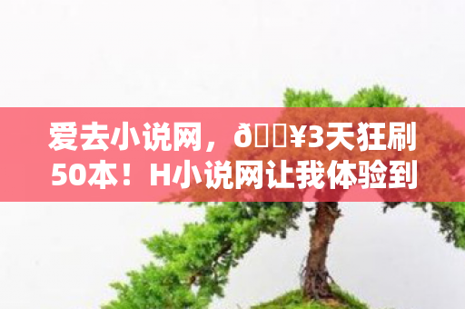 H小说网让我体验到颅内高潮的阅读快感图片