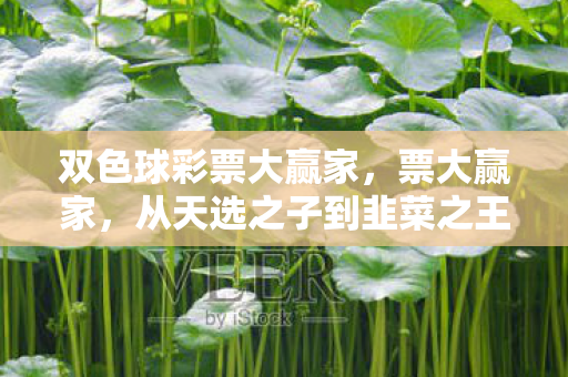 从天选之子到韭菜之王的落差真相图片
