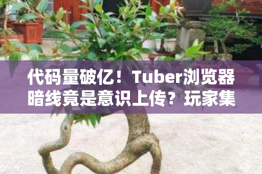 Tuber浏览器暗线竟是意识上传图片