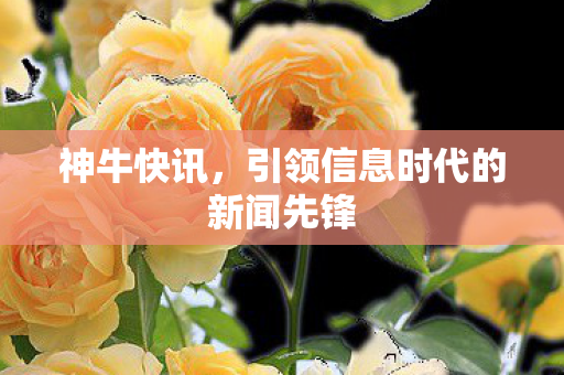 神牛快讯,引领信息时代的新闻先锋 神牛快讯,引领信息时代的新闻先锋