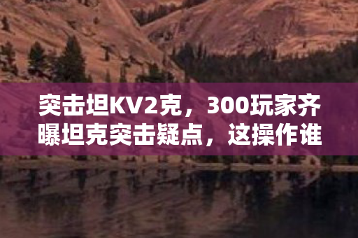 300玩家齐曝坦克突击疑点图片