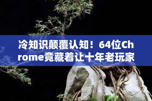 64位Chrome竟藏着让十年老玩家目瞪口呆的秘密图片