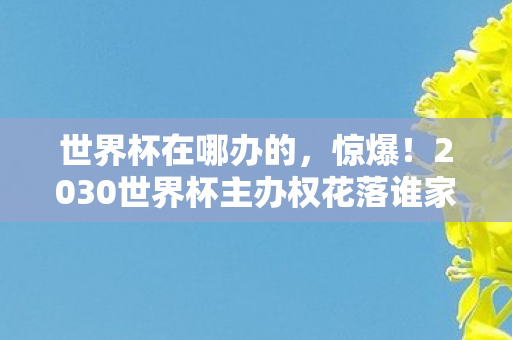 2030世界杯主办权花落谁家图片