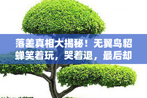 无翼鸟貂蝉笑着玩图片