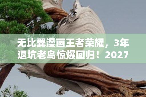 2027王者新玩法竟让我跪服图片