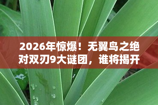 无翼鸟之绝对双刃9大谜团图片