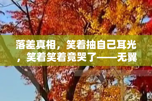 无翼鸟之酒后妈妈图片