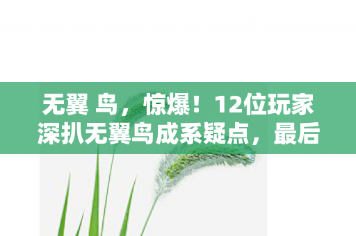 12位玩家深扒无翼鸟成系疑点图片