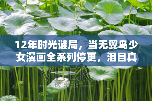 当无翼鸟少女漫画全系列停更图片