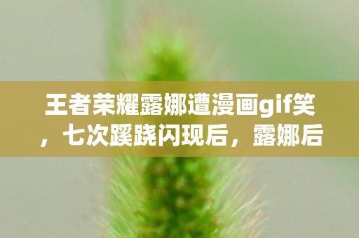 王者荣耀露娜遭漫画gif笑图片