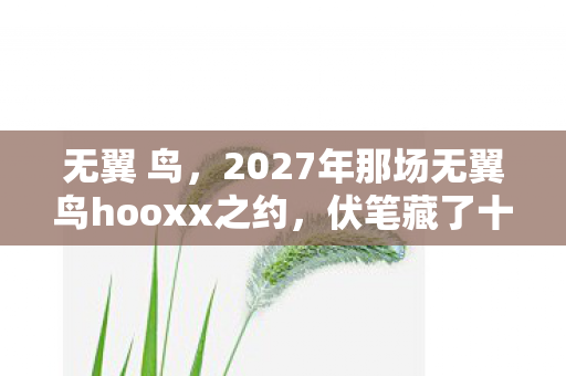 2027年那场无翼鸟hooxx之约图片