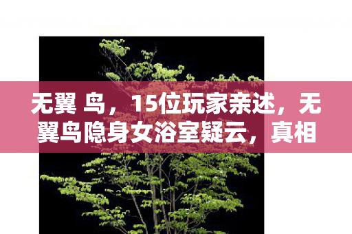 无翼鸟隐身女浴室疑云图片