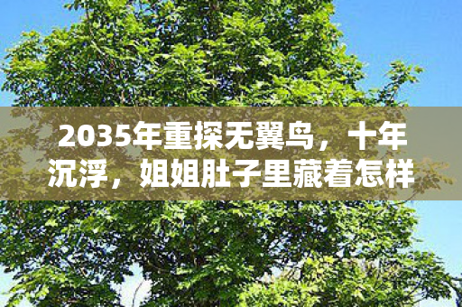 姐姐肚子里藏着怎样的震撼真相图片