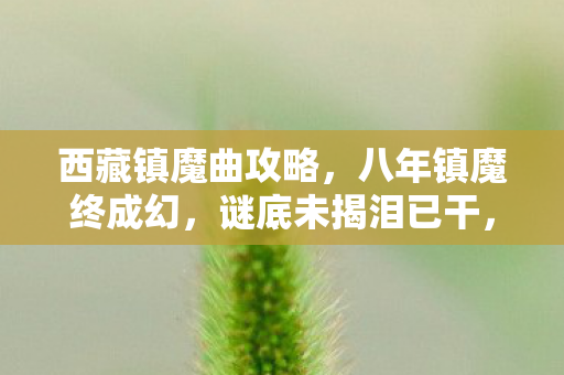 西藏镇魔曲攻略图片