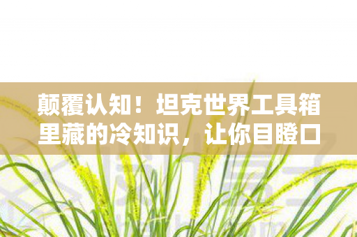 坦克世界工具箱里藏的冷知识图片