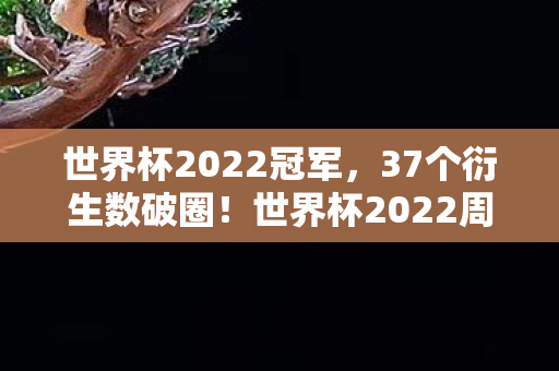 世界杯2022周边让我穷到吃土却意外解锁母爱盲盒图片