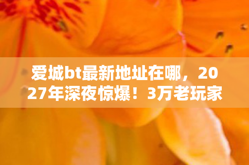 3万老玩家苦守的爱城入口图片