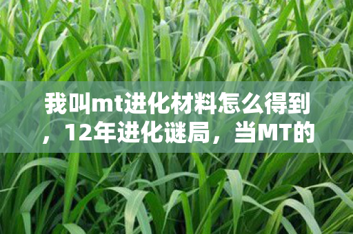 我叫mt进化材料怎么得到图片