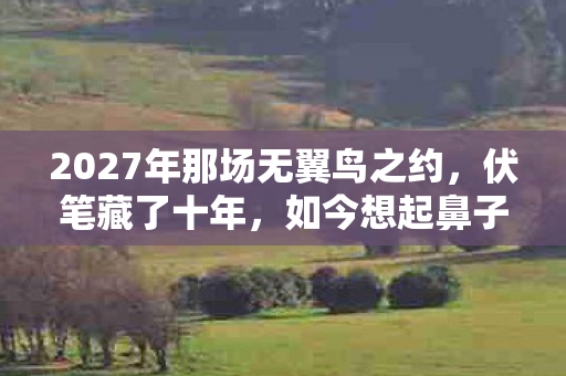 2027年那场无翼鸟之约图片