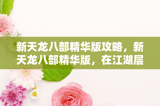 新天龙八部精华版攻略图片