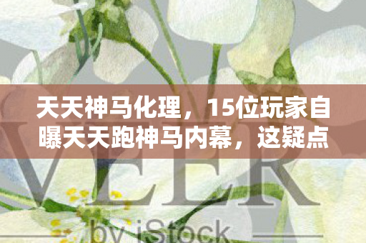 15位玩家自曝天天跑神马内幕图片