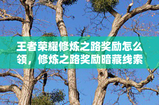 王者荣耀修炼之路奖励怎么领图片
