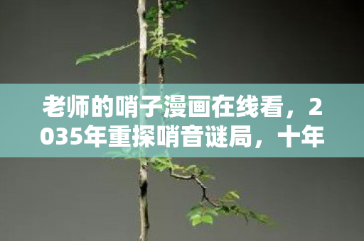 2035年重探哨音谜局图片