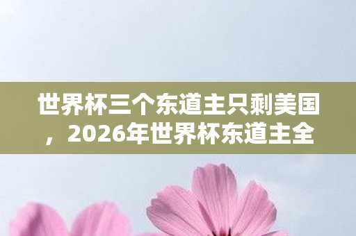 2026年世界杯东道主全军覆没图片