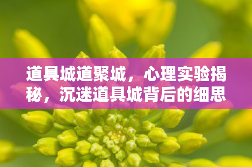 沉迷道具城背后的细思极恐自我麻醉真相图片