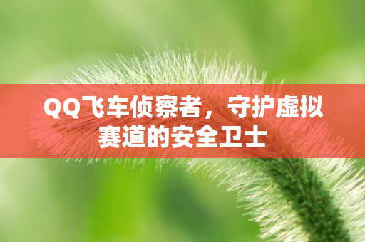 QQ飞车侦察者,守护虚拟赛道的安全卫士 QQ飞车侦察者,守护虚拟赛道的安全卫士