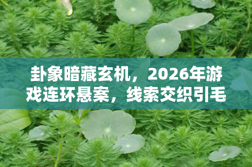 2026年游戏连环悬案图片