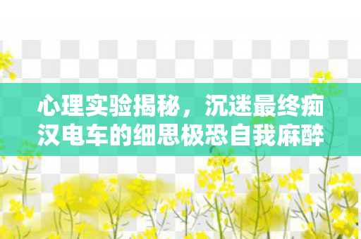 心理实验揭秘,沉迷最终痴汉电车的细思极恐自我麻醉 心理实验揭秘,沉迷最终痴汉电车的细思极恐自我麻醉