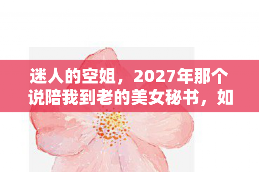2027年那个说陪我到老的美女秘书图片