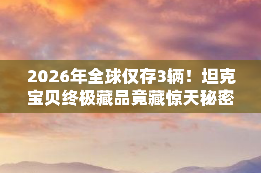 坦克宝贝终极藏品竟藏惊天秘密图片