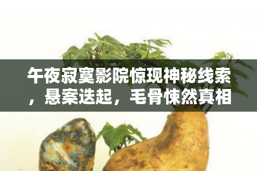 午夜寂寞影院惊现神秘线索图片