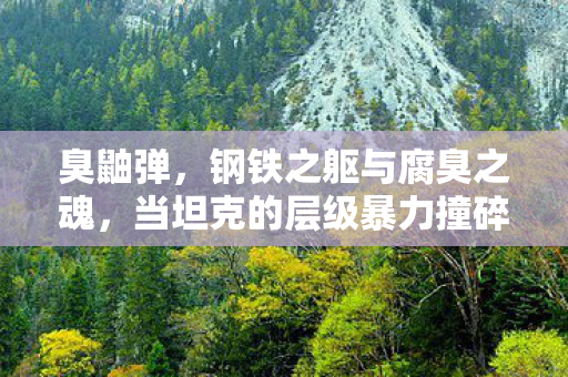 当坦克的层级暴力撞碎臭鼬的自由悖论图片