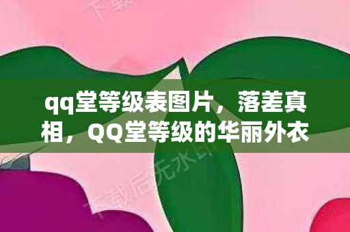 QQ堂等级的华丽外衣下图片