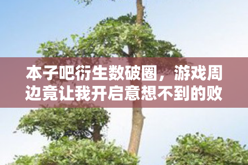 游戏周边竟让我开启意想不到的败家人生图片