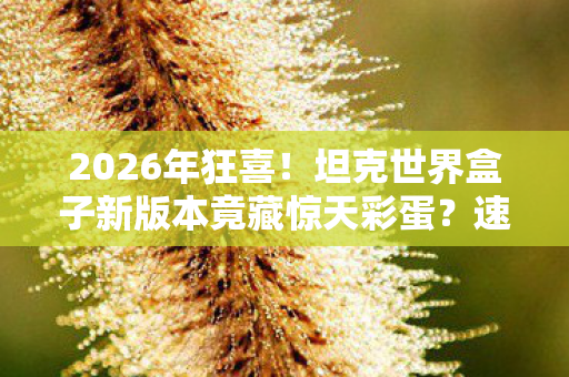 坦克世界盒子新版本竟藏惊天彩蛋图片