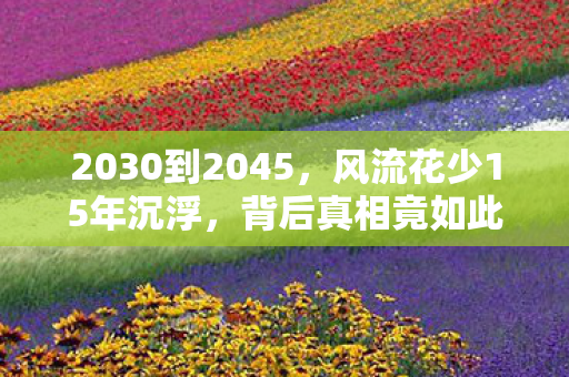 2030到2045图片