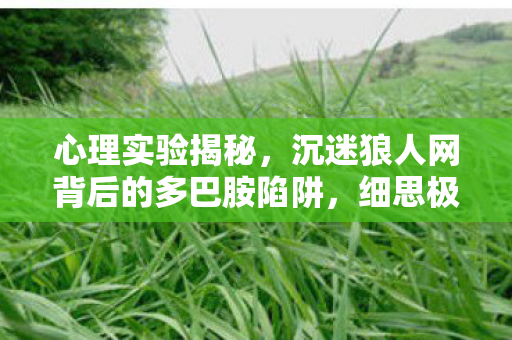 沉迷狼人网背后的多巴胺陷阱图片