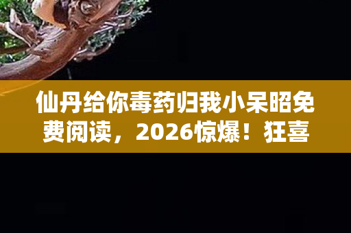 仙丹给你毒药归我小呆昭免费阅读图片