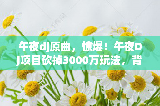 午夜DJ项目砍掉3000万玩法图片
