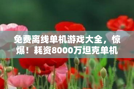 耗资8000万坦克单机项目图片