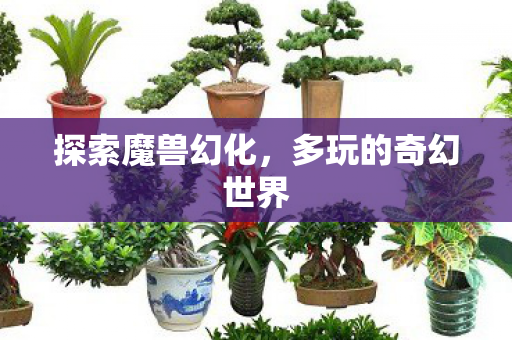 探索魔兽幻化,多玩的奇幻世界 探索魔兽幻化,多玩的奇幻世界