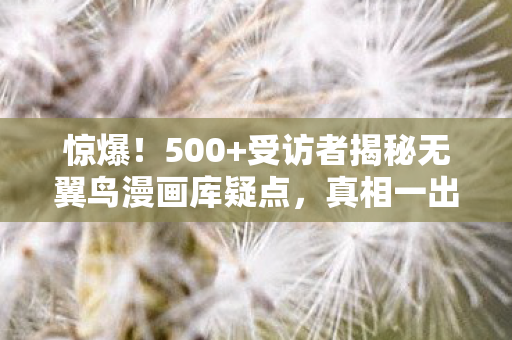 受访者揭秘无翼鸟漫画库疑点图片