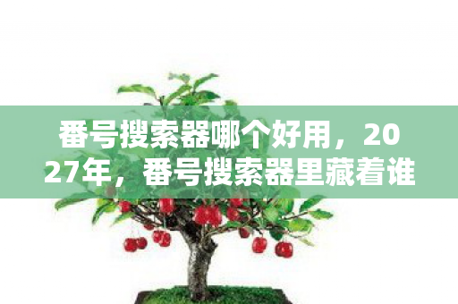 番号搜索器哪个好用,2027年,番号搜索器里藏着谁未说完的别走,我鼻子一酸终是删了 番号搜索器哪个好用,2027年,番号搜索器里藏着谁未说完的别走,我鼻子一酸终是删了