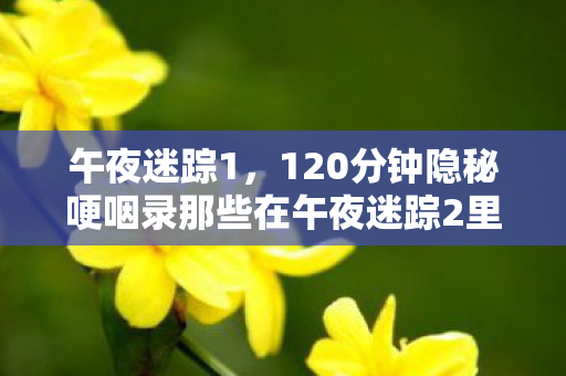 120分钟隐秘哽咽录那些在午夜迷踪2里弄丢的自己图片