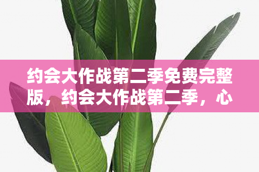 约会大作战第二季免费完整版图片